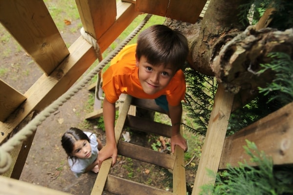 A treehouse way up high
