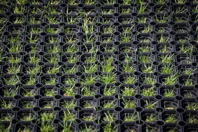 Grass Mats