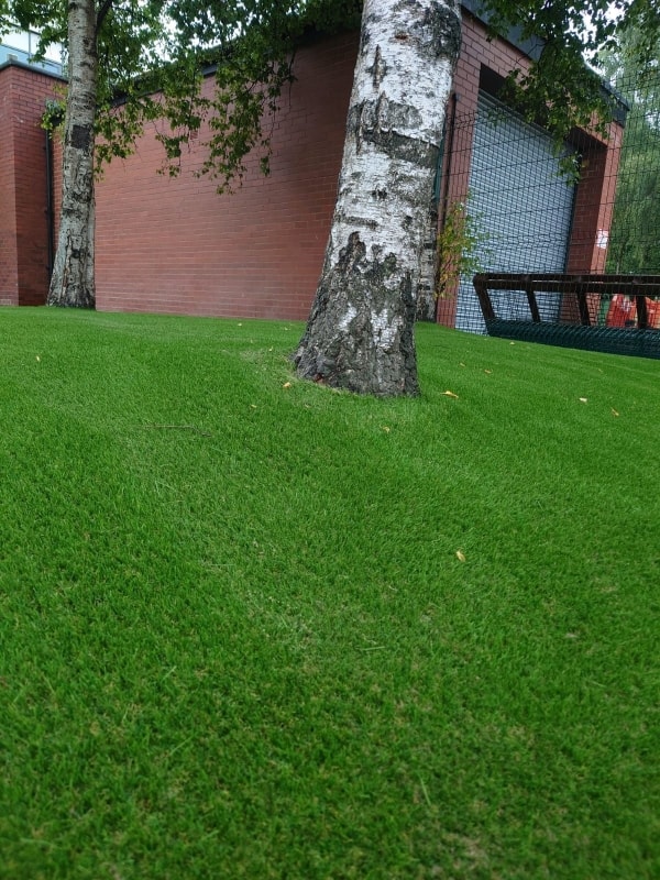 Artificial Grass